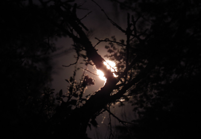 Pleine lune